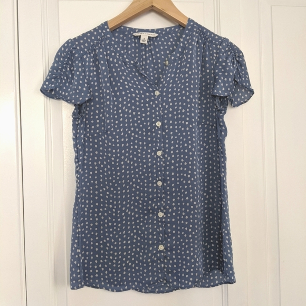 Banana Republic Blue Silk Button Down Blouse